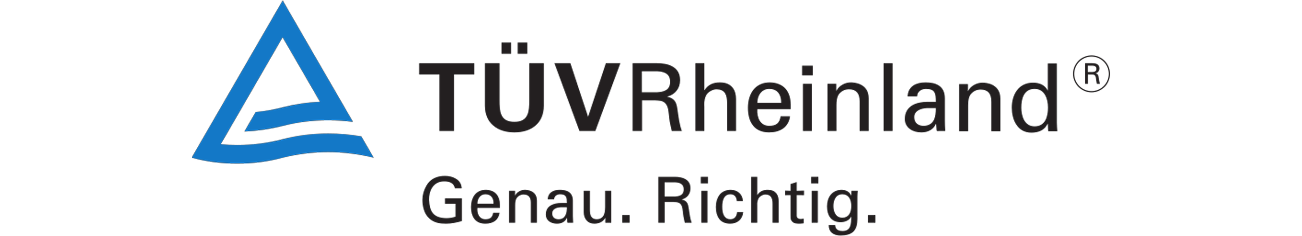 Tüv Logo